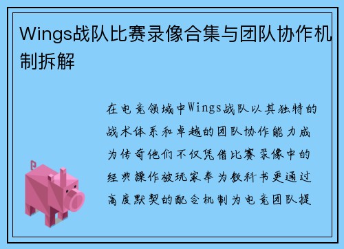 Wings战队比赛录像合集与团队协作机制拆解